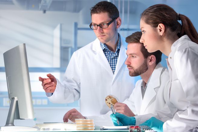 Practitioner mentors reviewing lab results together